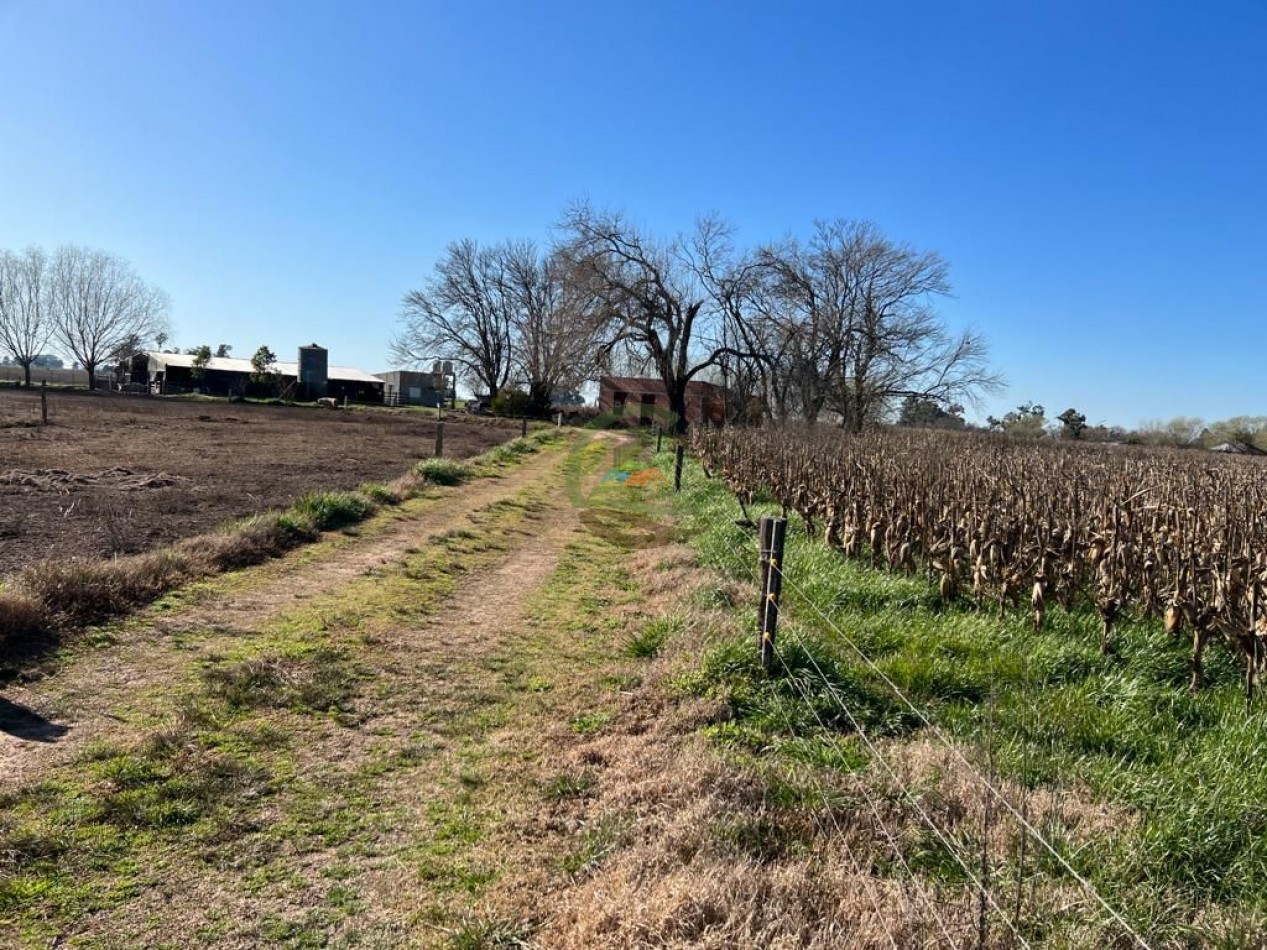 3 ha agricolas - polvaredas