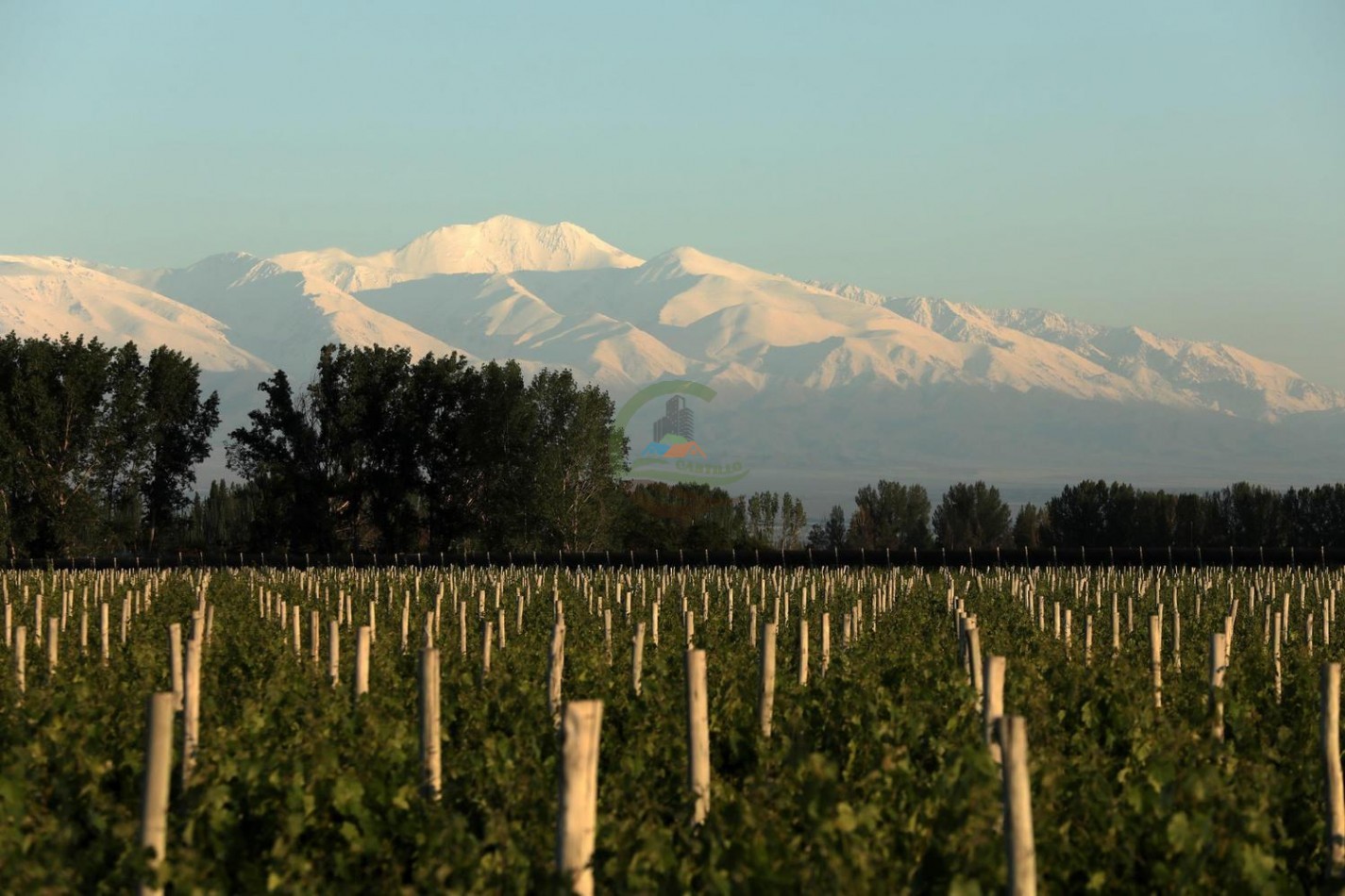 440 ha - Bodega - Mendoza