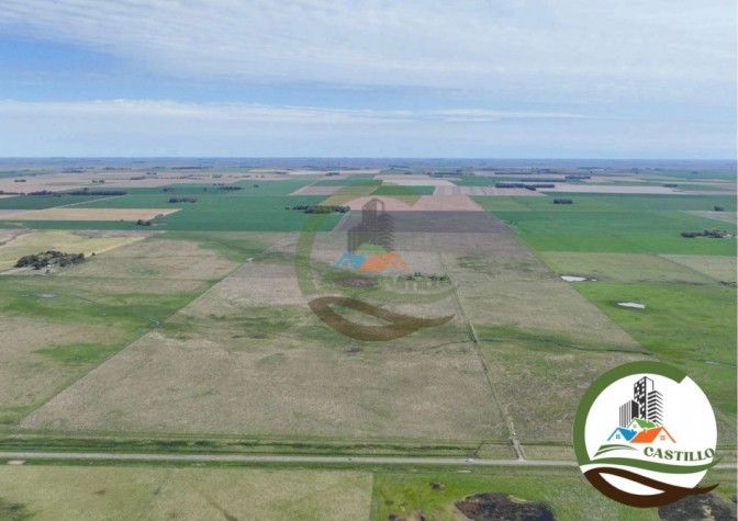 204 ha mixtas - olavarria