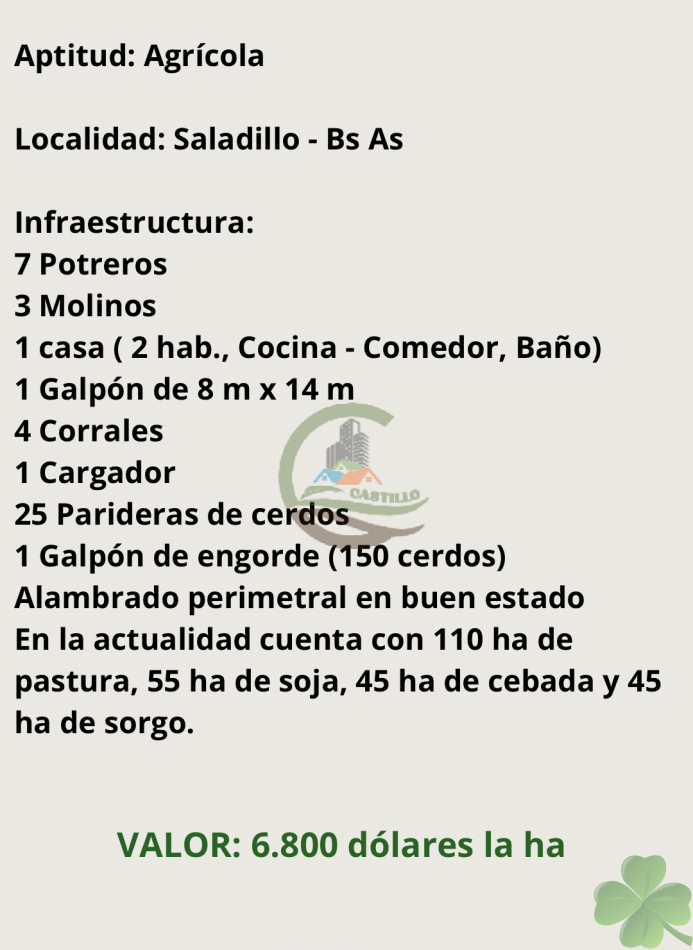 256 ha Mixto - Saladillo