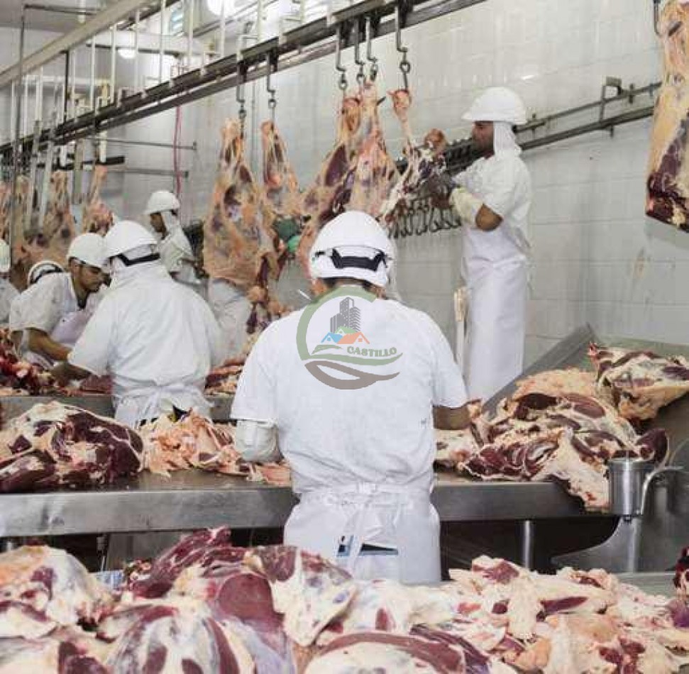 Frigorifico - con feedlot- Exportadora - La Adela - La Pampa