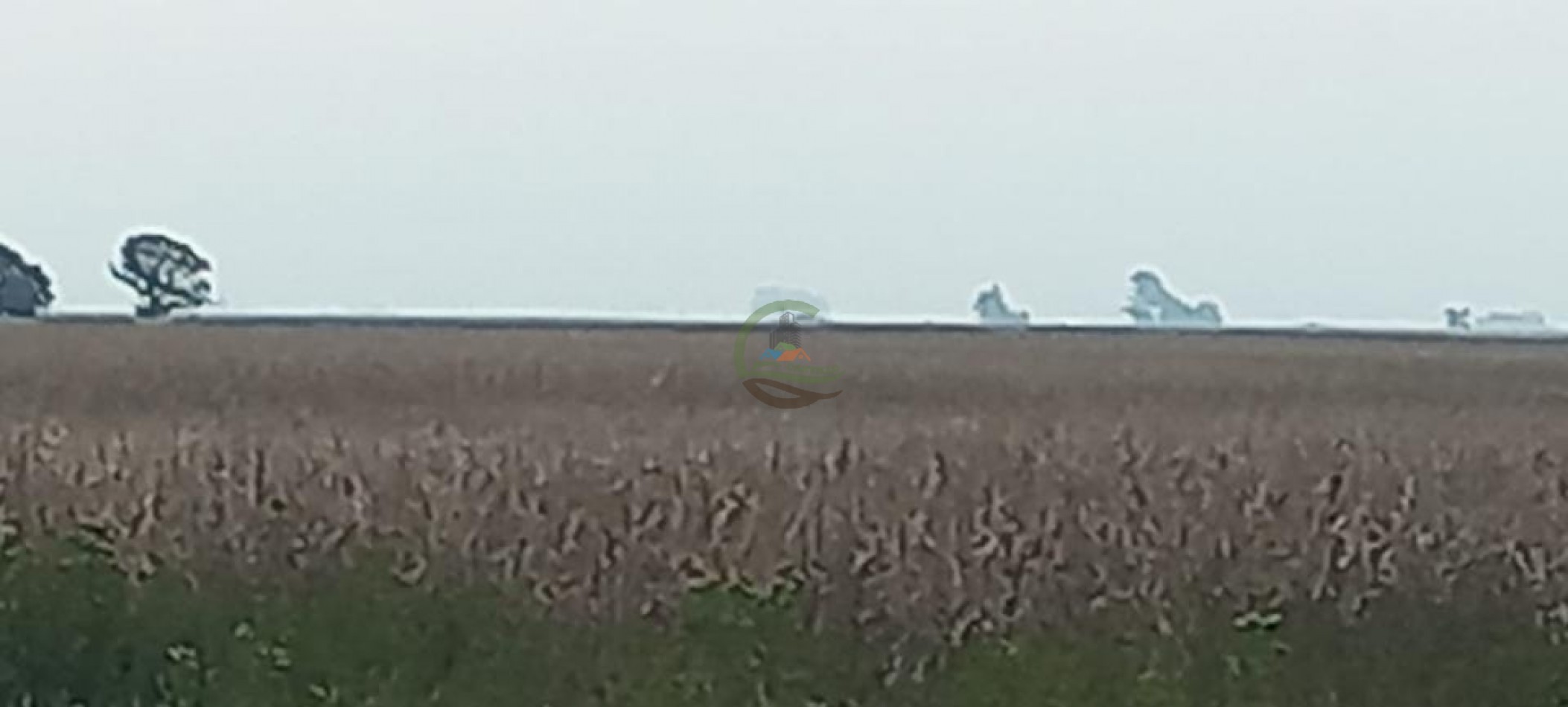 180 Ha Agricolas - Hale - Bolivar