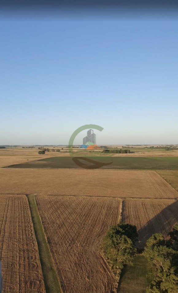 25 ha Mixto - Olavarria 