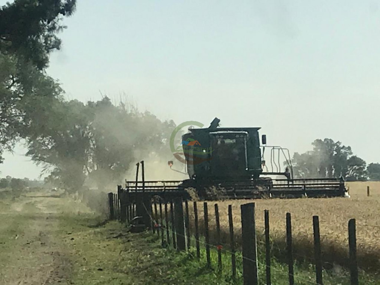 210 ha Agricolas - 25 de MAyo 