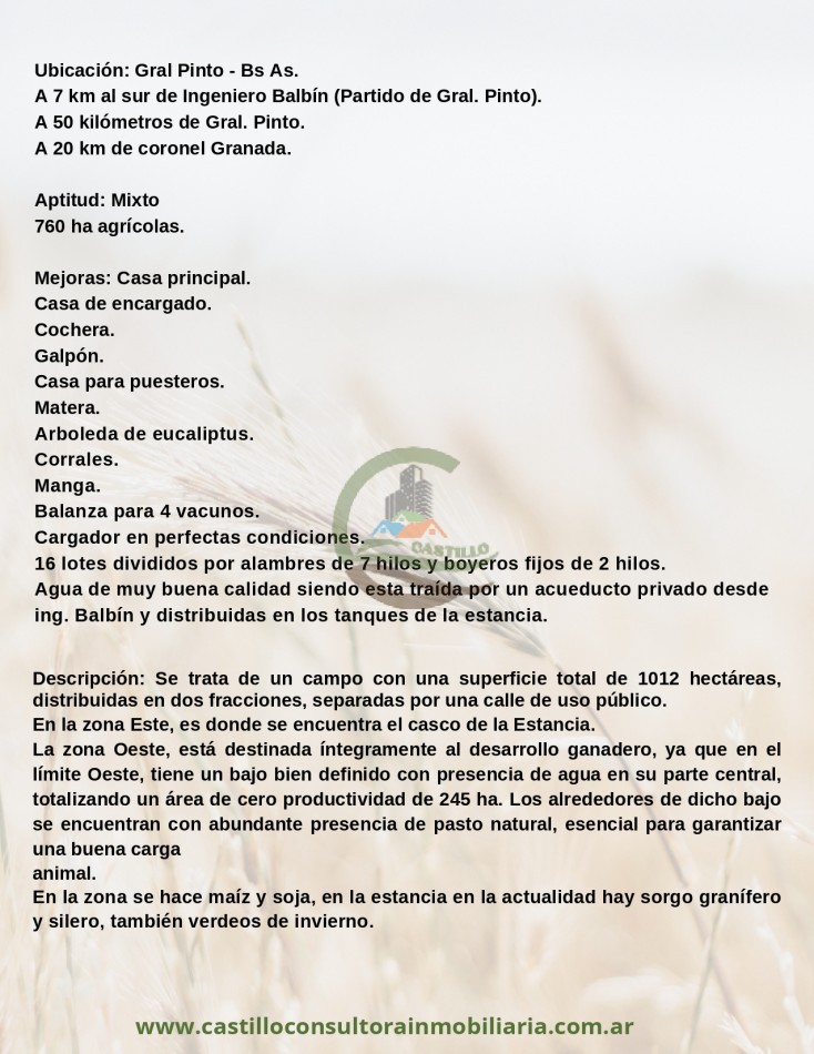 1012 ha Mixto - Gral Pinto