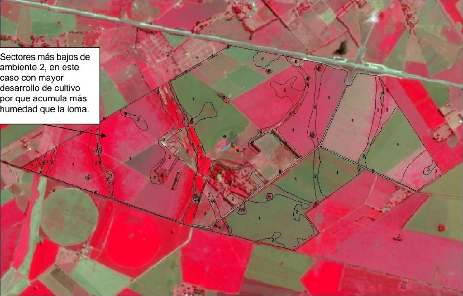 975 Ha Agricolas - San Antonio de Areco