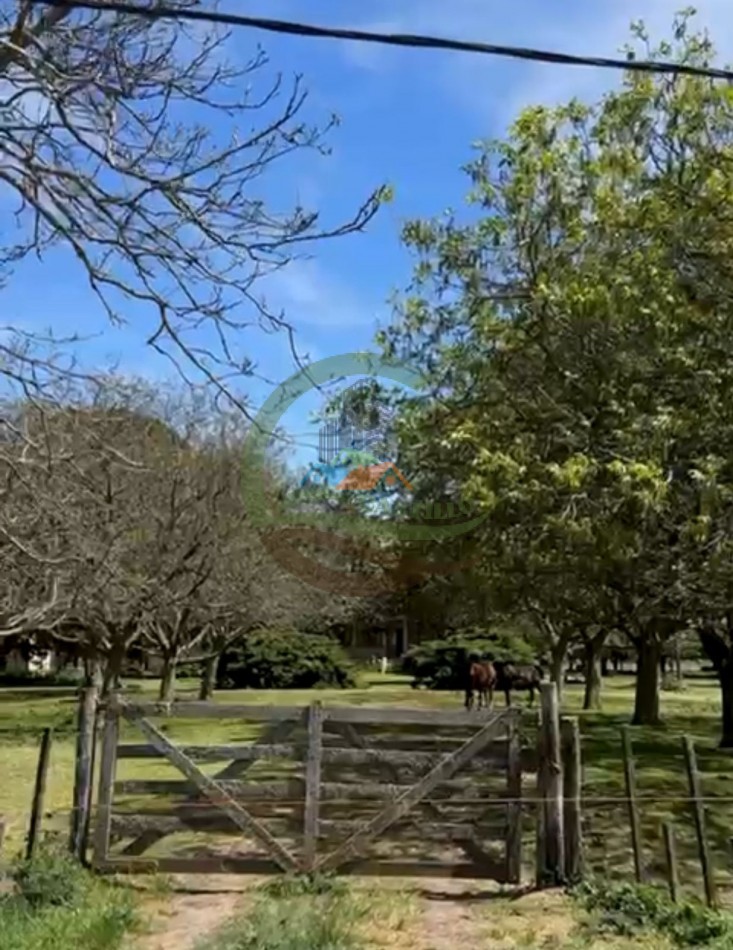 220 ha Agricolas - Balcarce  