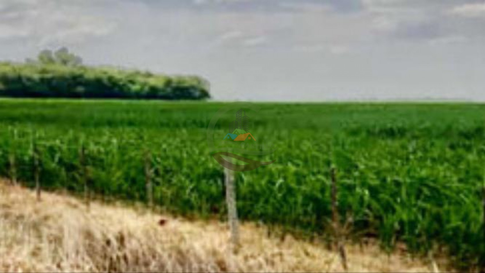 177 ha Mixtas - Pergamino 