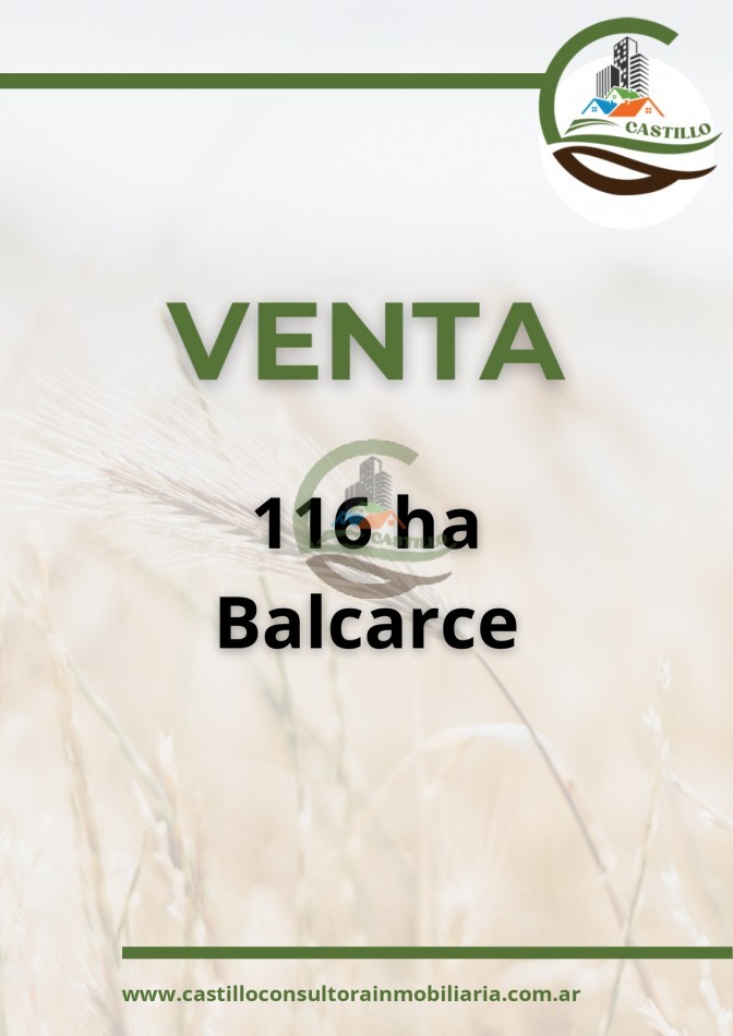 116 ha agricolas - balcarce