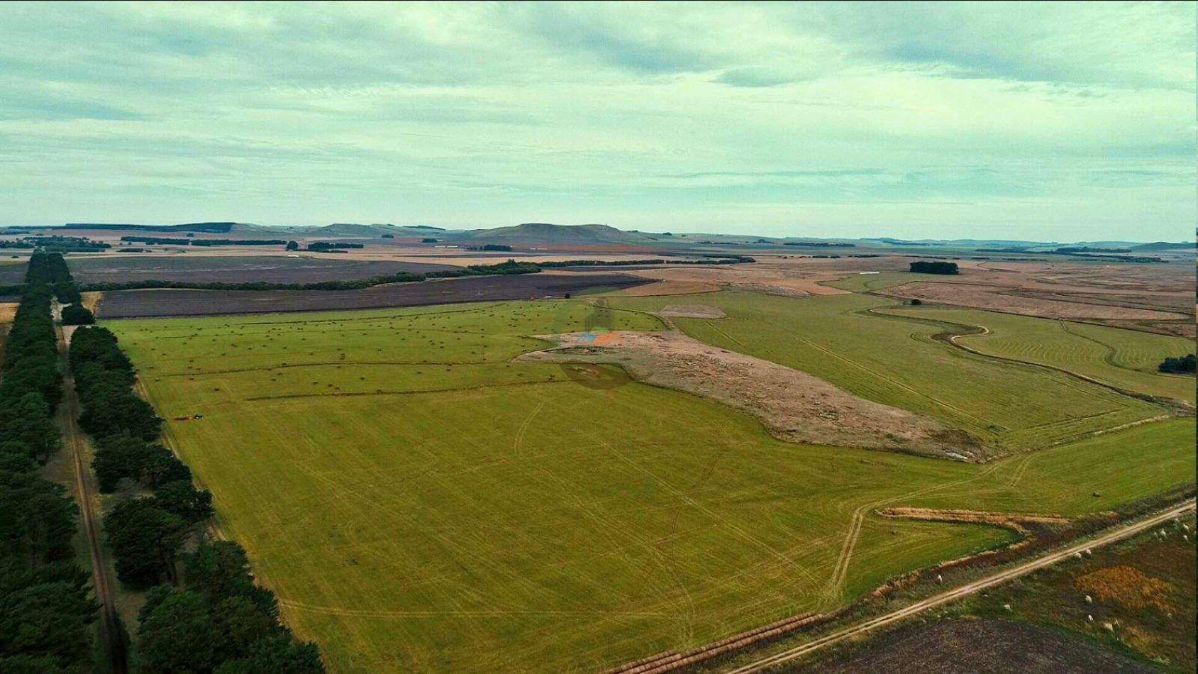 1007 Ha Agricolas - Tandil