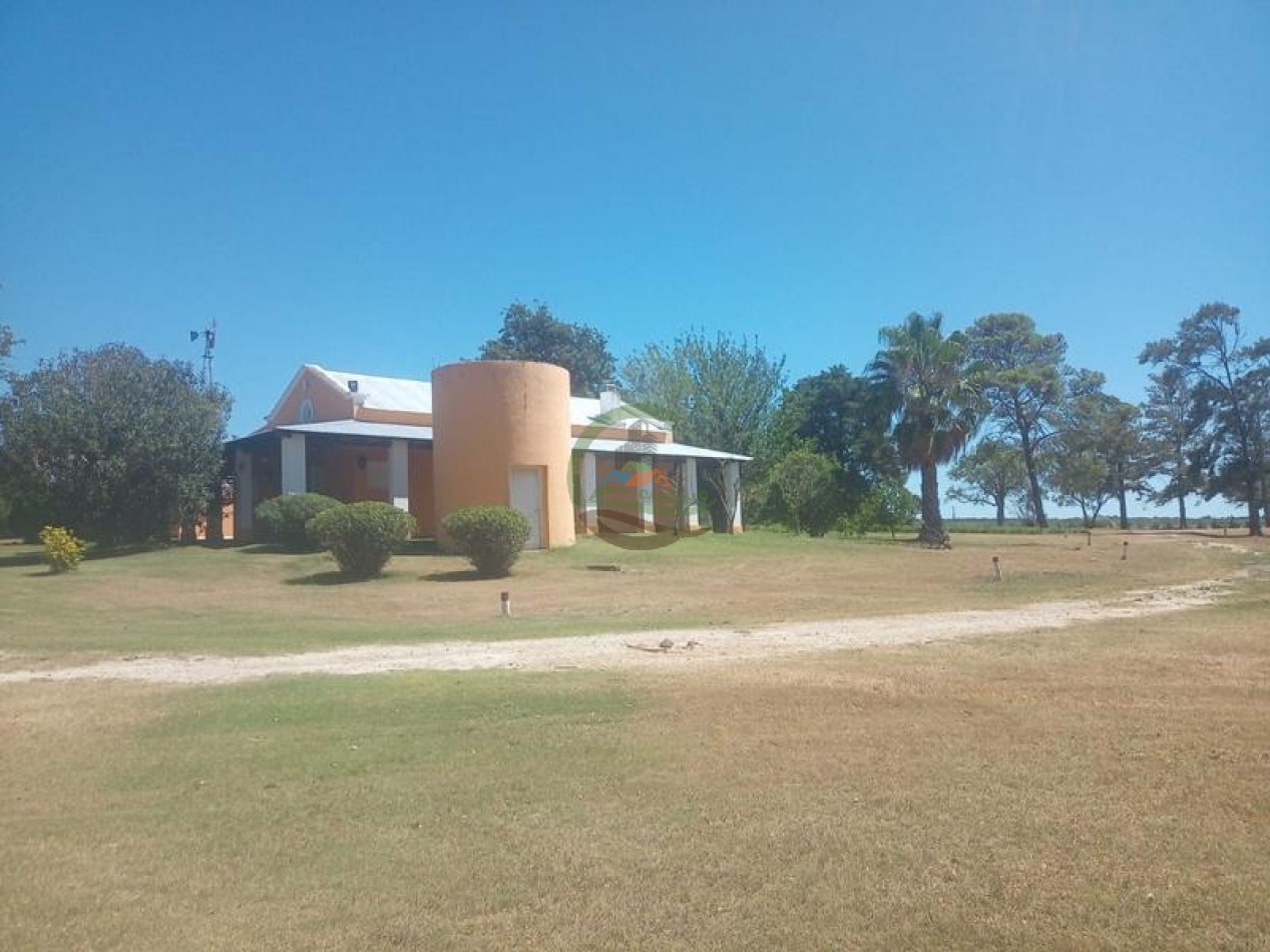 935 Ha Mixto - Nogoya - Entre Rios