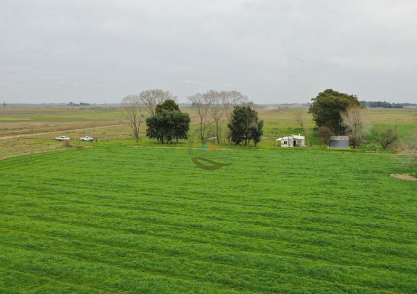 1795 Ha Ganadero - Chascomus