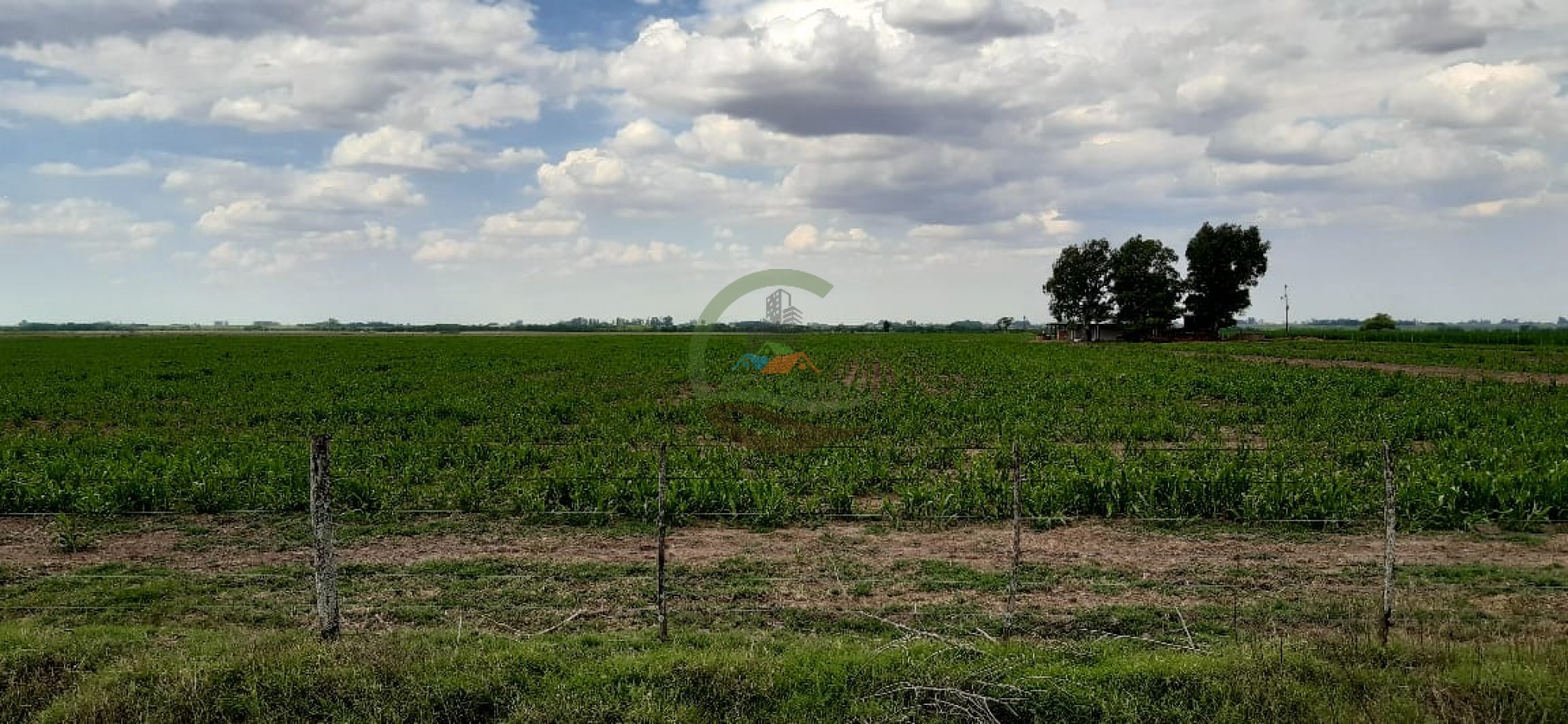 177 ha Mixtas - Pergamino 
