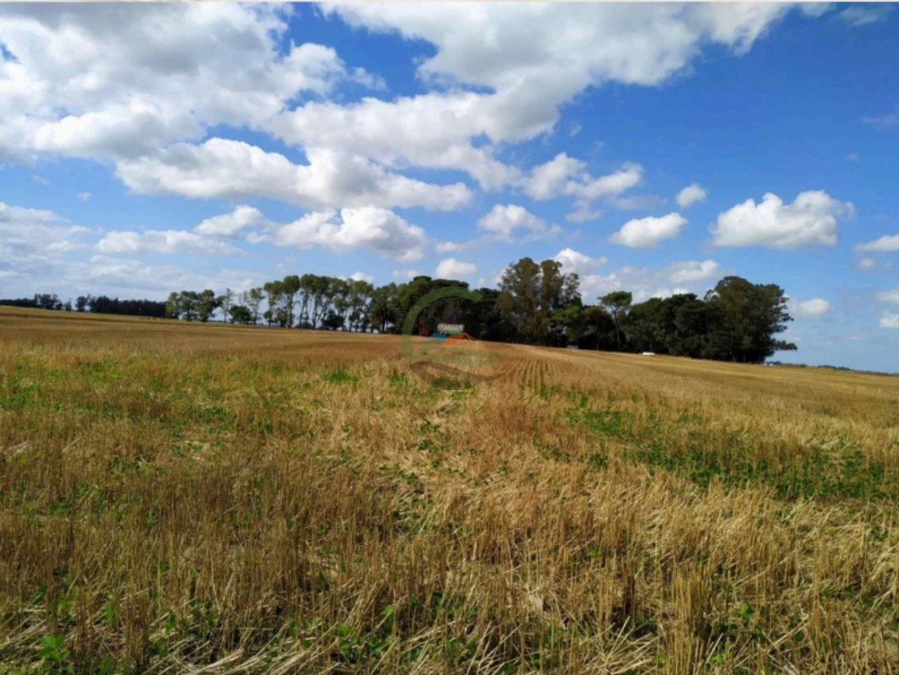 408 Ha Agricola - Miramar