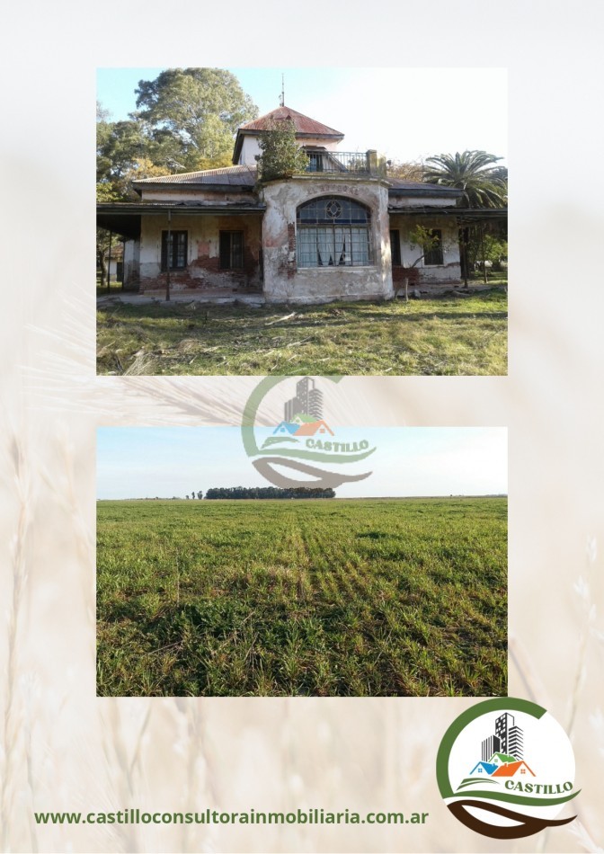 931 ha Mixto - Carlos Tejedor
