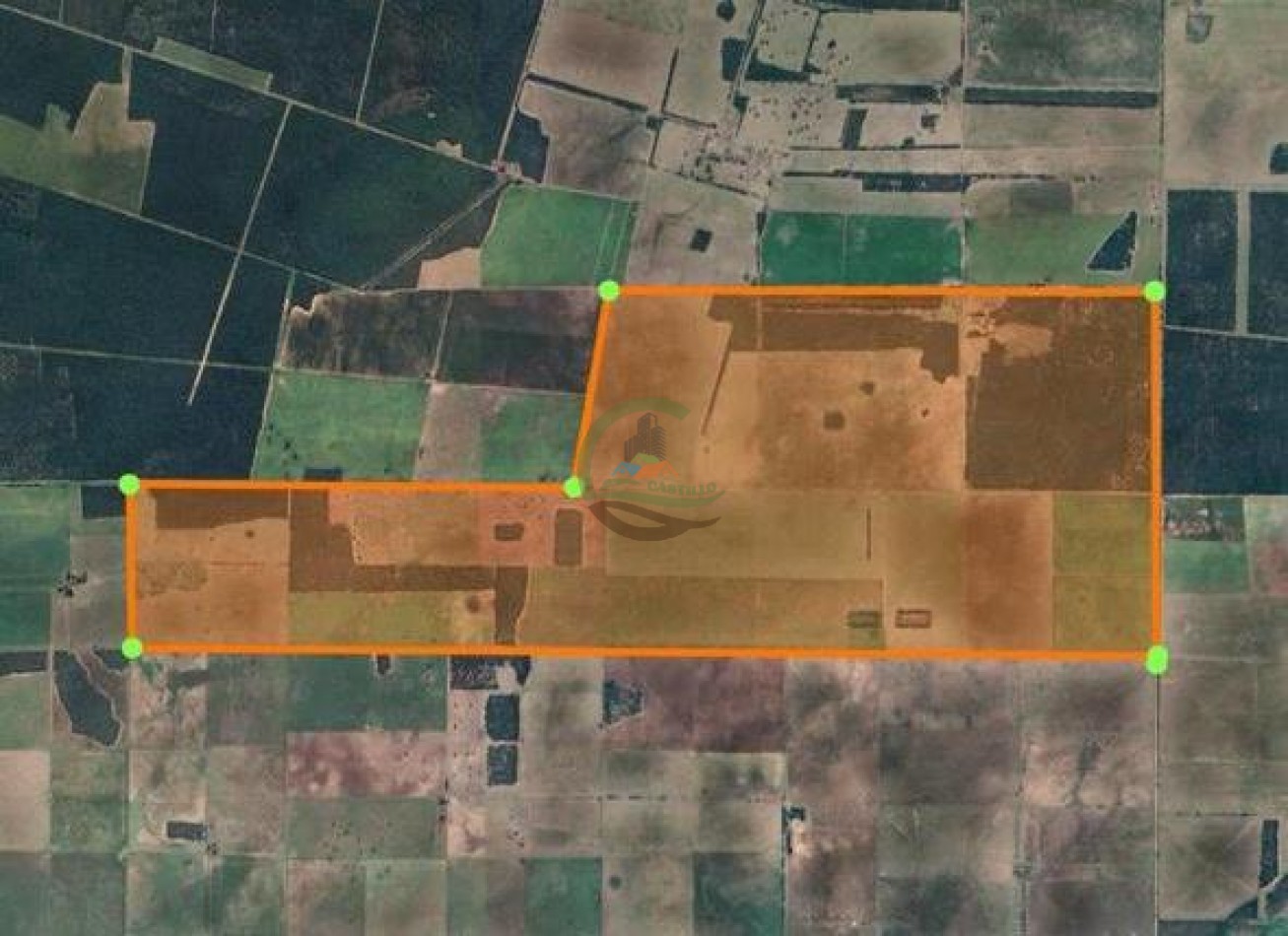 1100 Ha Mixtas - Santa Rosa - La Pampa