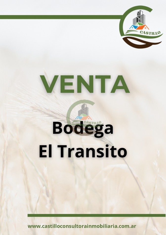 Bodega - Cafayate