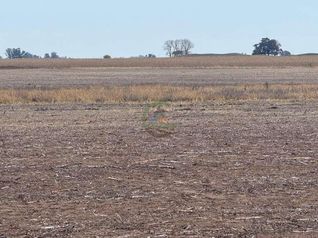 639 Ha Mixto - Urdampilleta - Bolivar