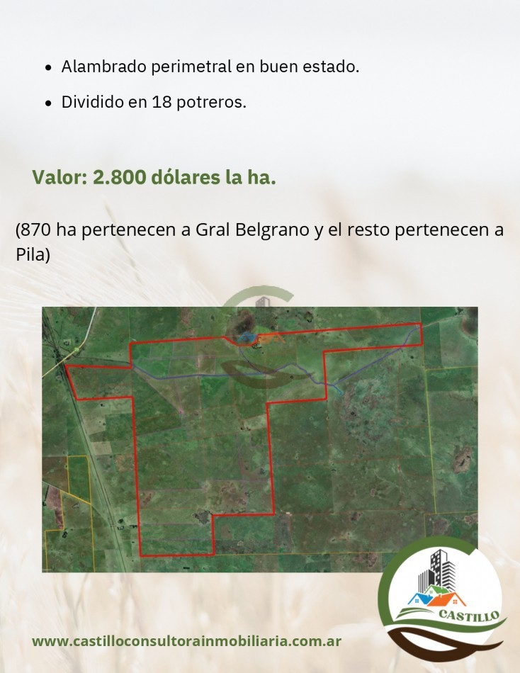 4811 ha ganandero - pila