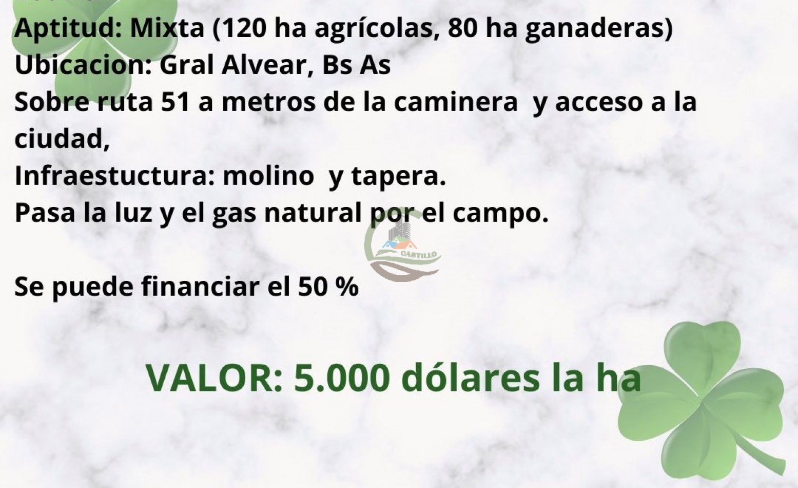 200 ha Mixtas - Gral Alvear