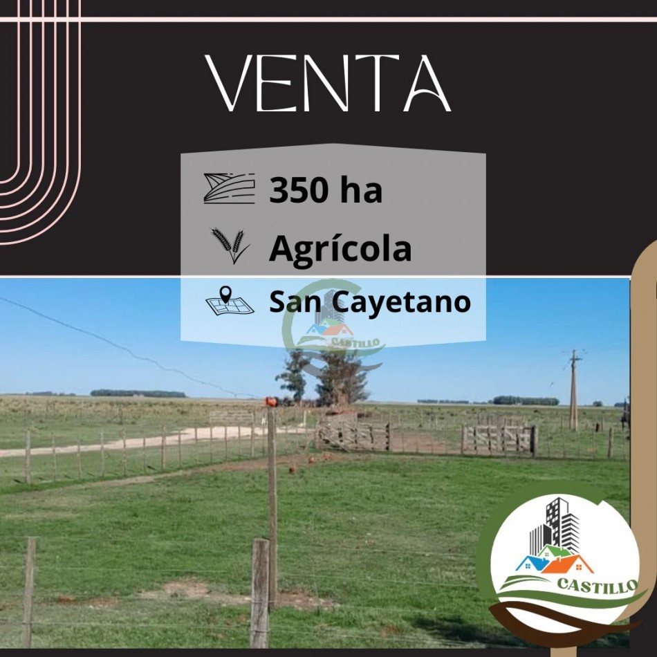 350 ha Agricolas - San Cayetano