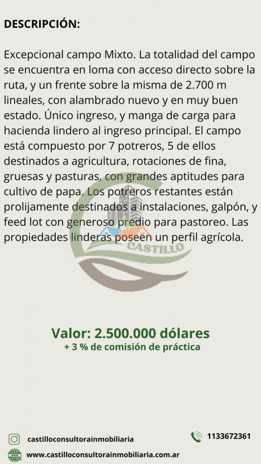 210 ha Mixto - Balcarce