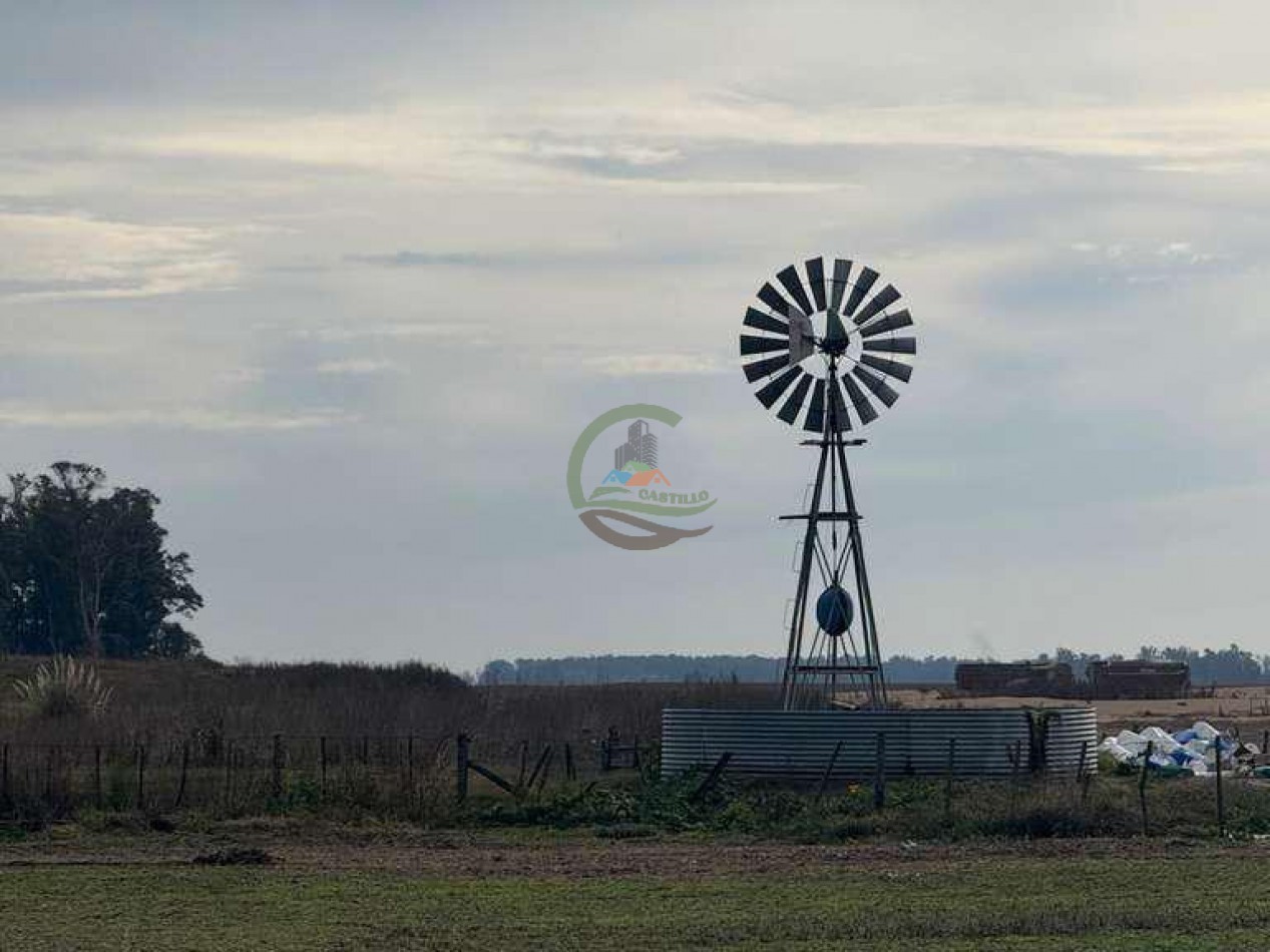 639 Ha Mixto - Urdampilleta - Bolivar