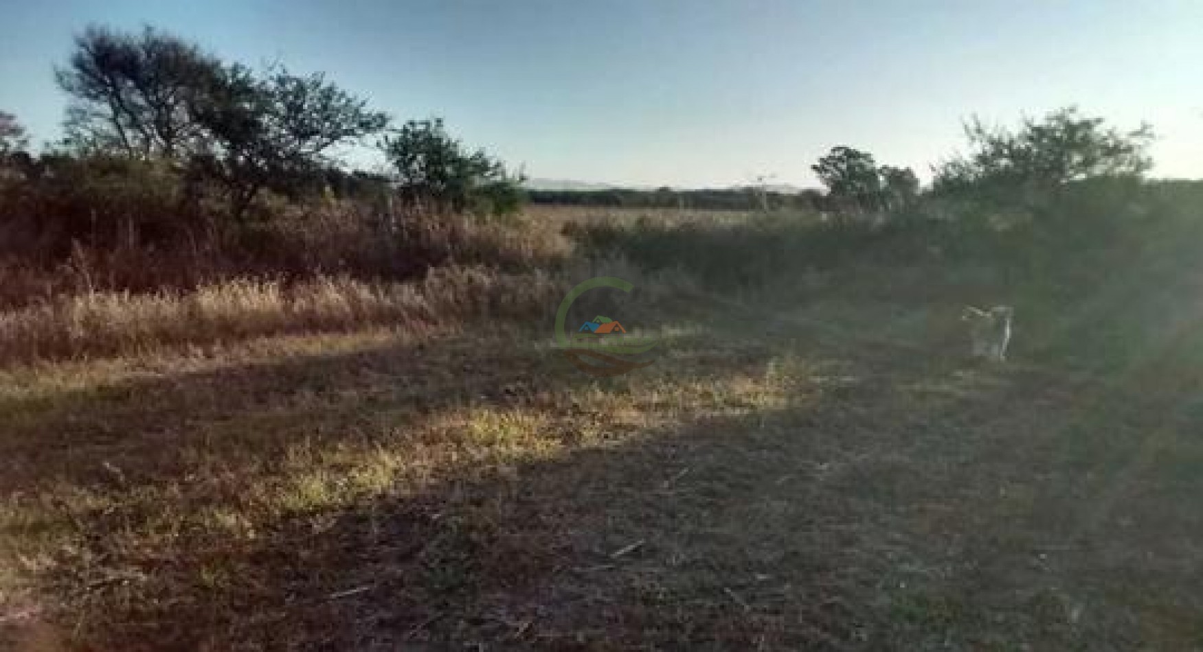 118 Ha Agricolas - Sarmiento - Totoral - Cordoba