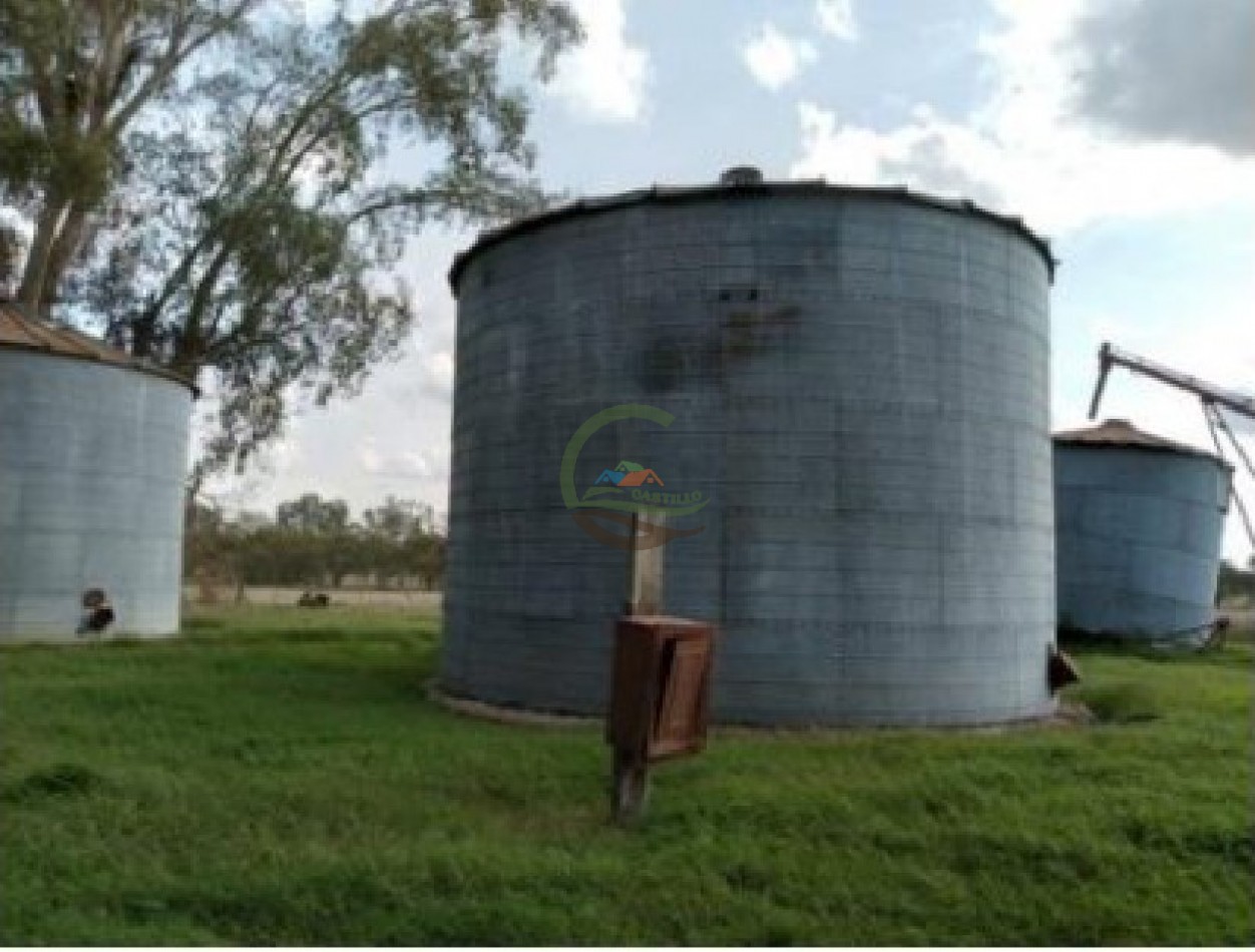 975 Ha Agricolas - San Antonio de Areco