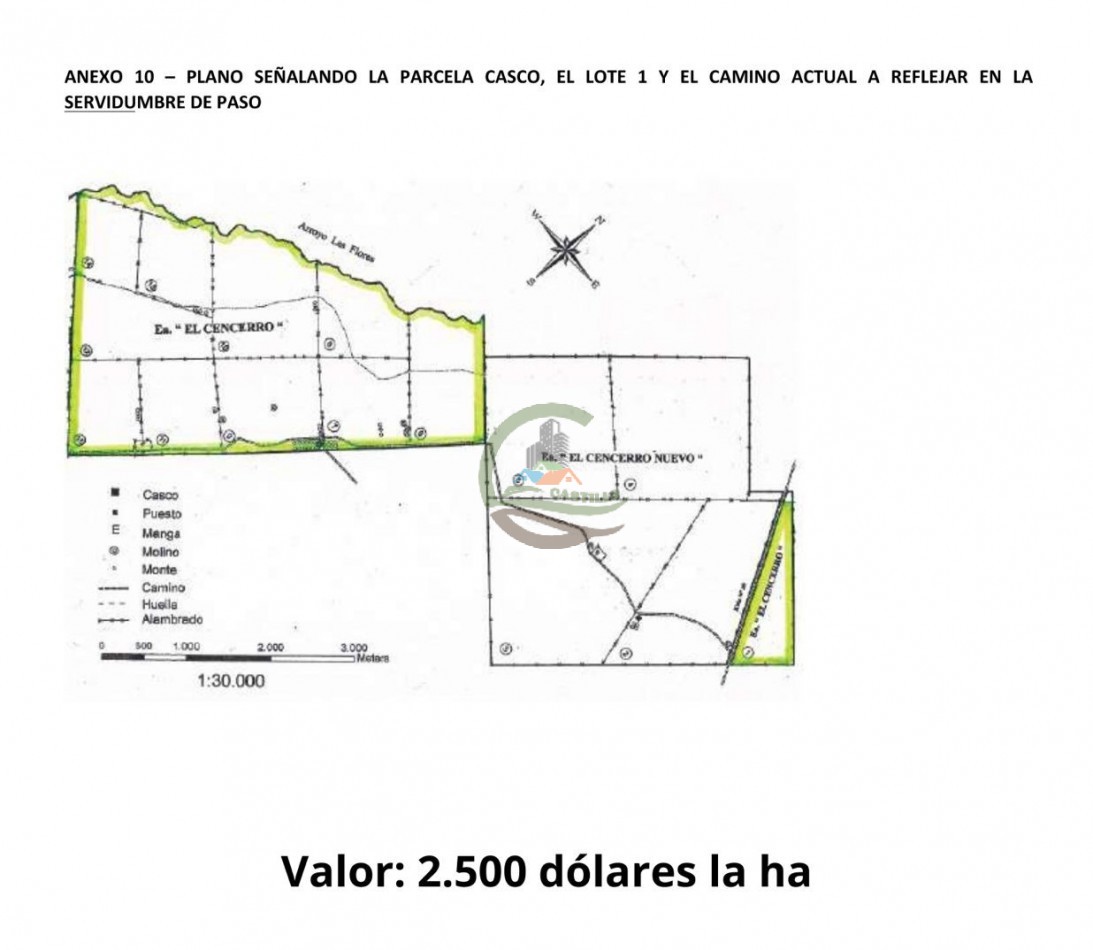 1184 ha Ganadero - Las Flores