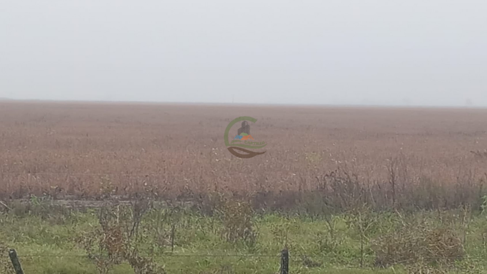 488 ha Mixto - Saladillo