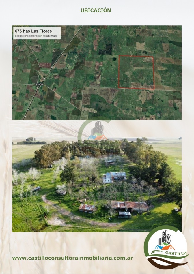 675 ha mixto - las flores