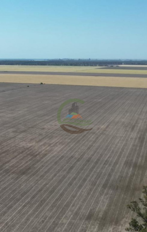 115 Ha Agricolas - Santa Fe