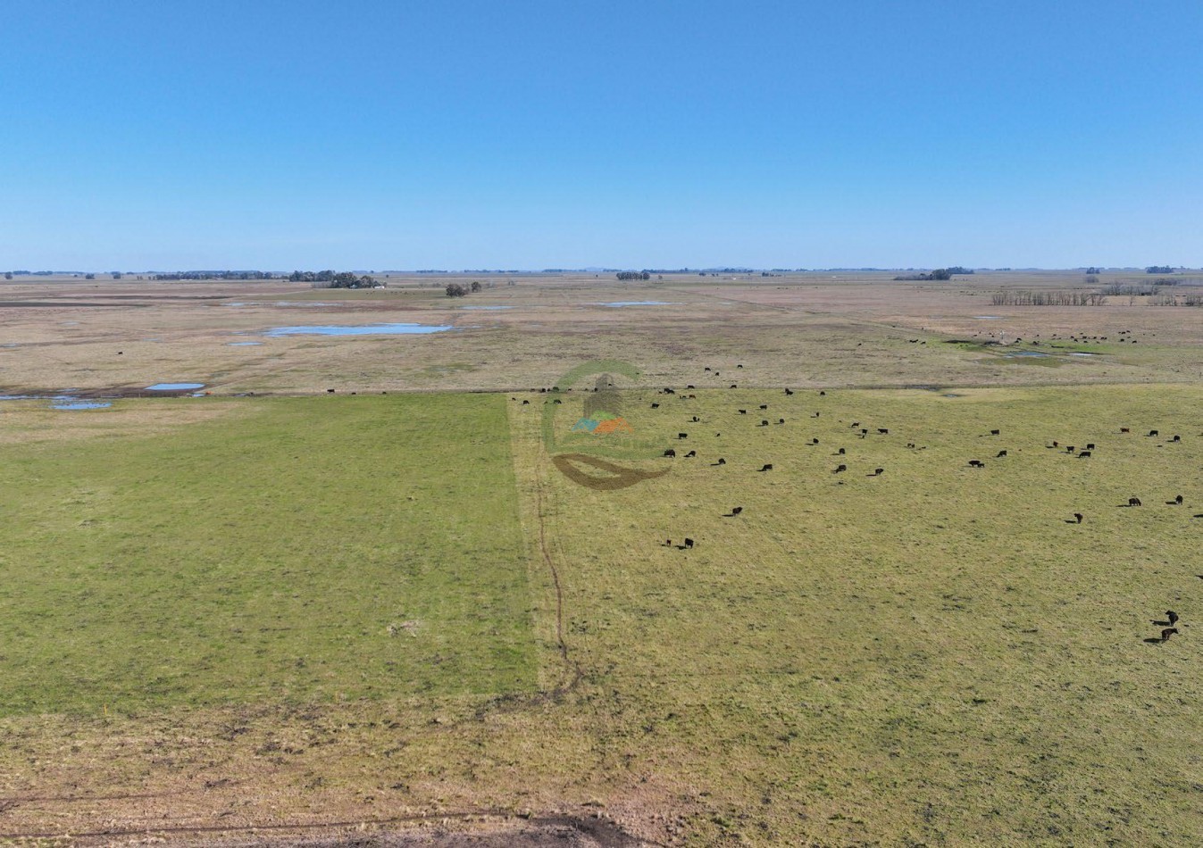 432 Ha Ganadero -  Ayacucho