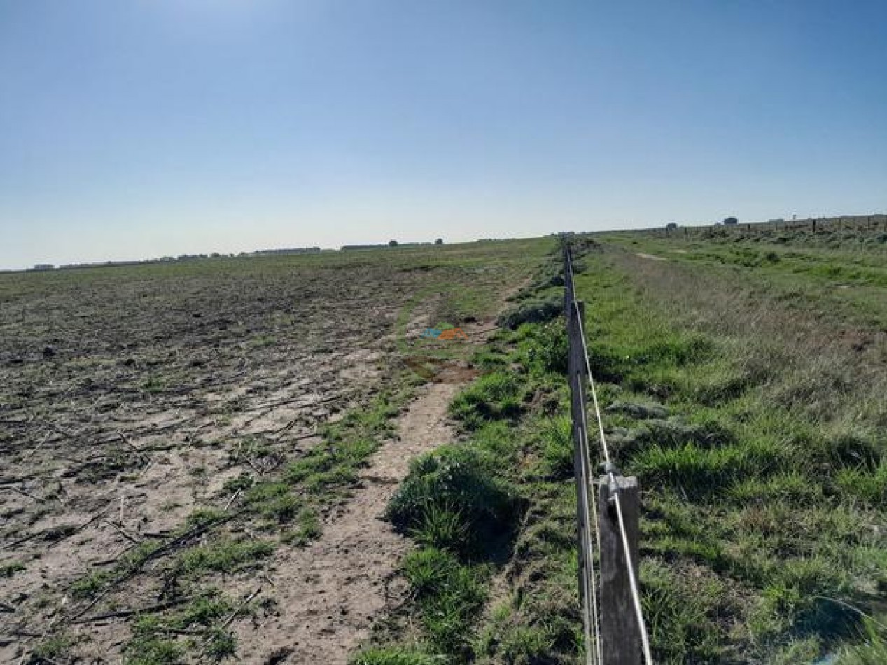 324 Ha Agricolas - San Cayetano