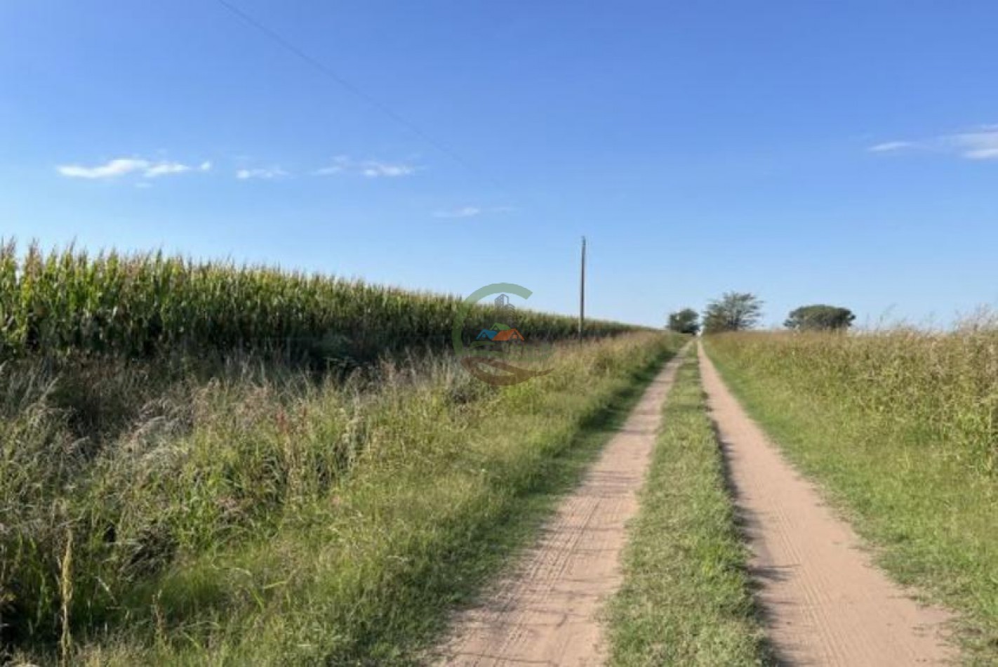 120 ha Mixto - Daireaux