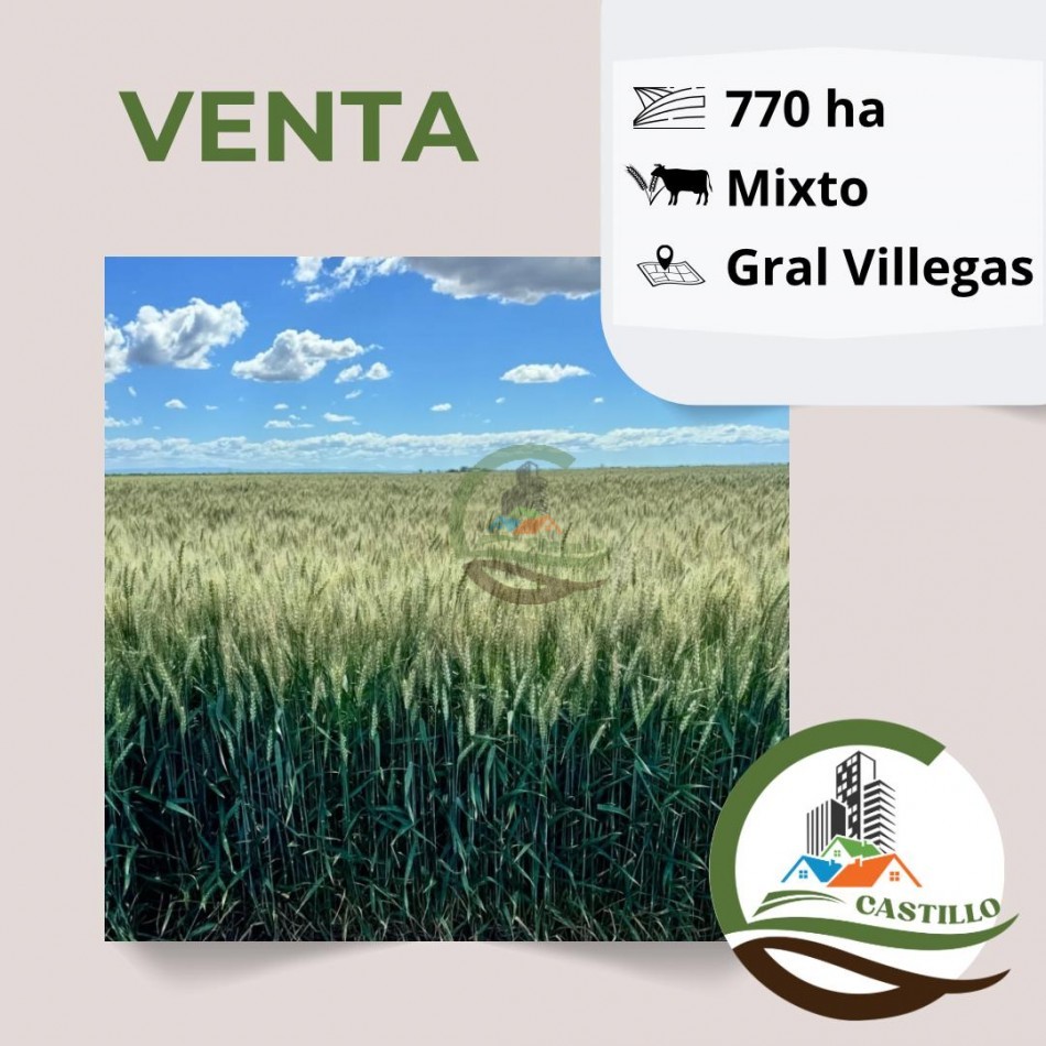 775 ha mixtas - general villegas