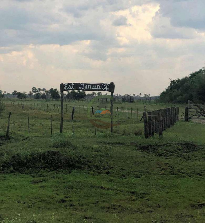 4168 Ha Mixto - San Luis del Palmar - Corrientes