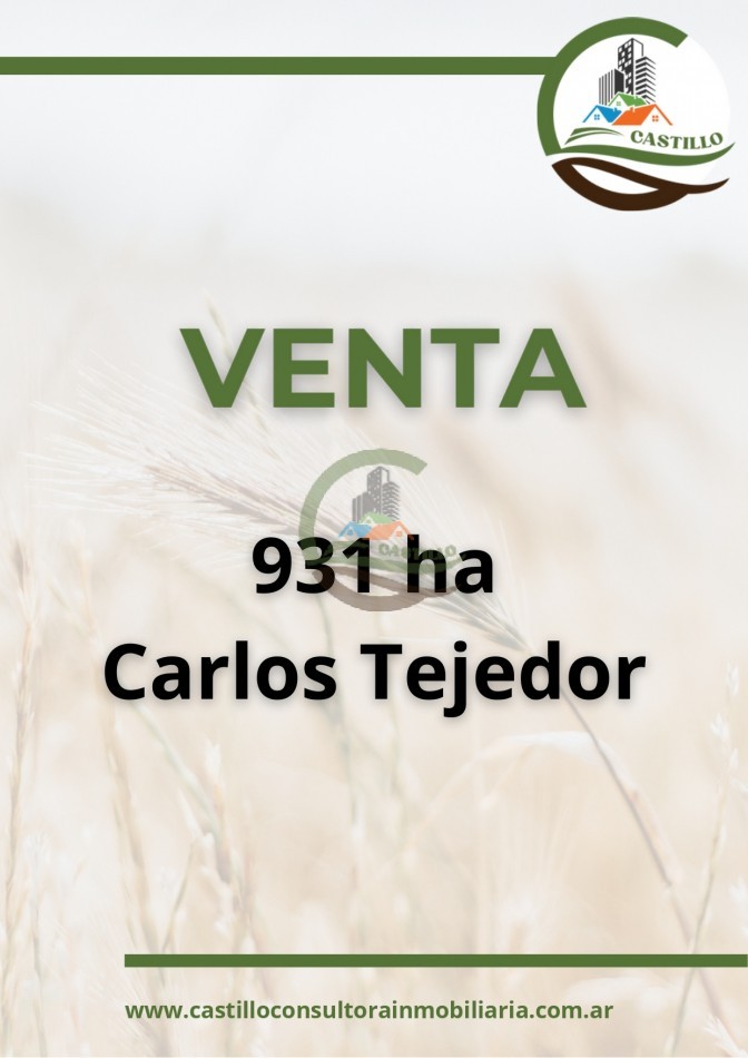 931 ha Mixto - Carlos Tejedor