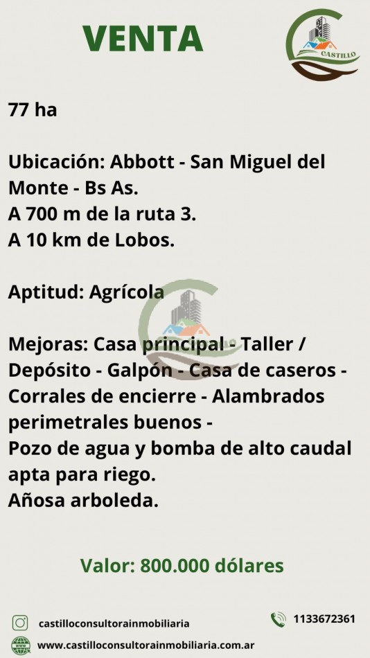 77 ha Agricolas - San Miguel De Monte
