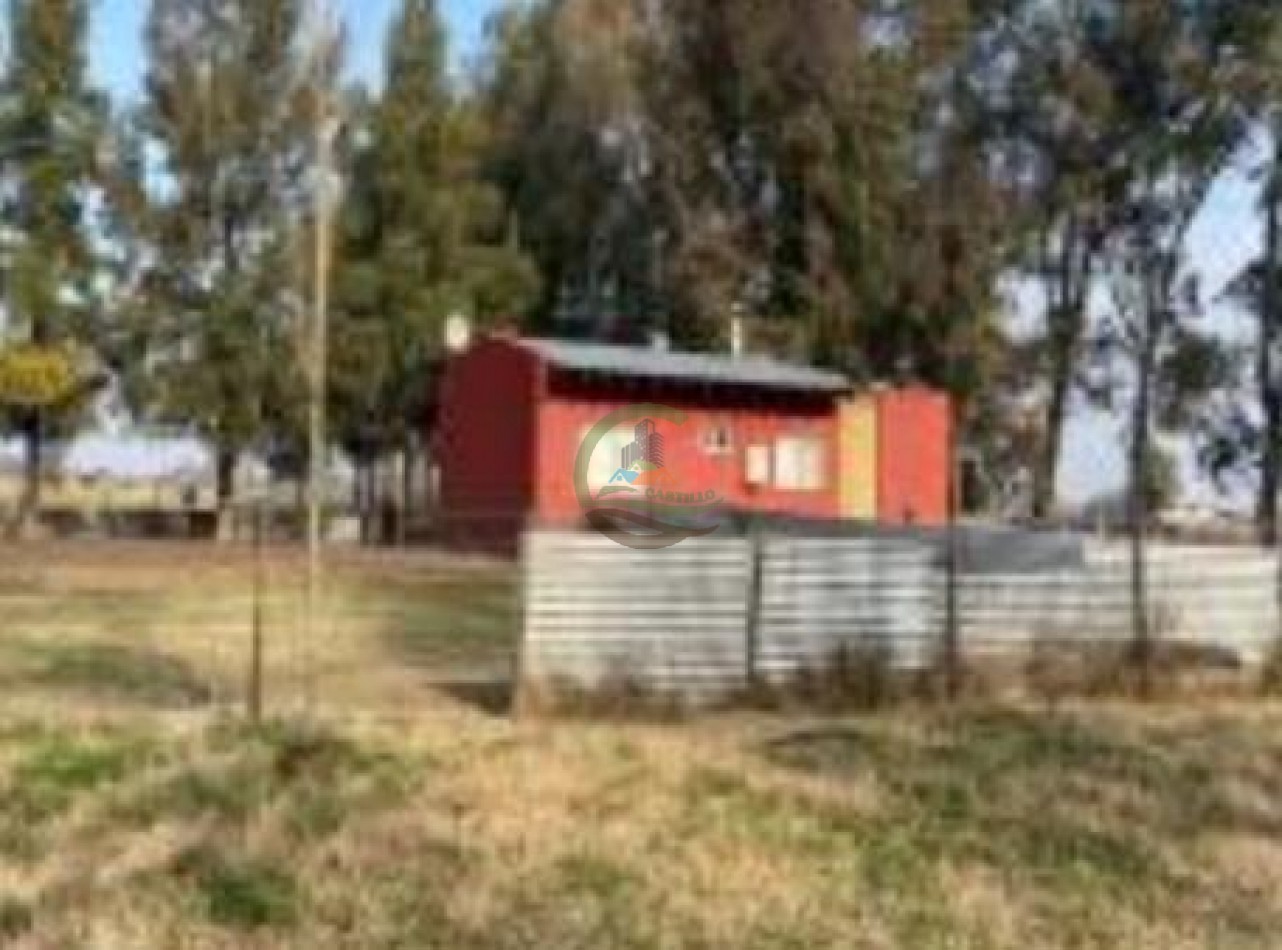 110 Ha Mixto - Abbott - San Miguel del Monte