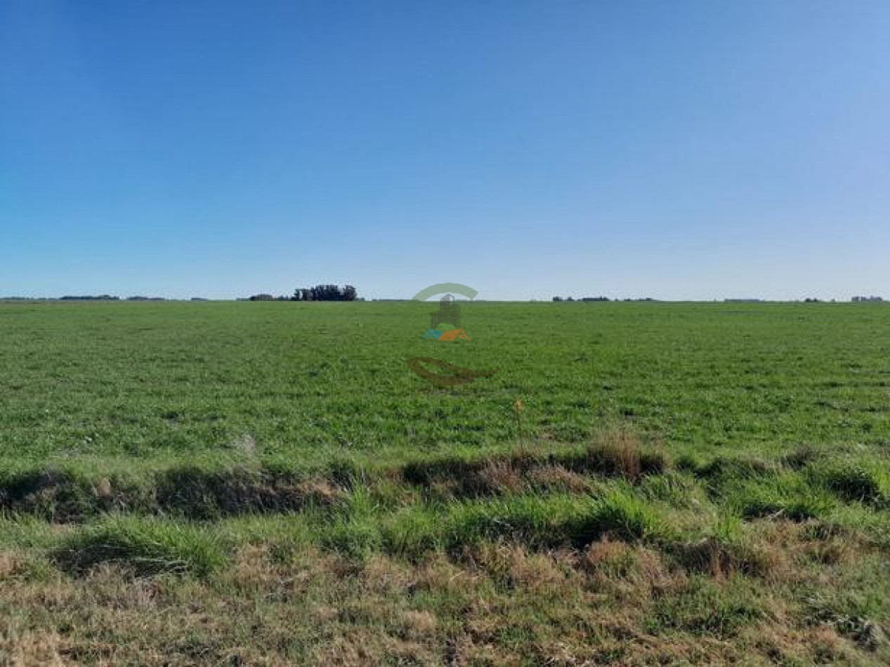 324 Ha Agricolas - San Cayetano
