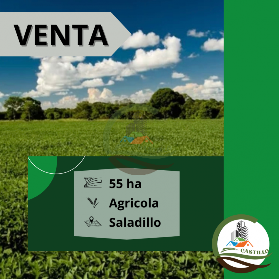 55 ha Agricolas - Saladillo