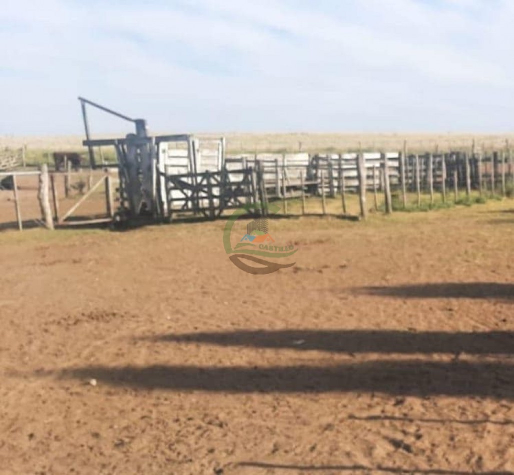 360 ha Mixtas - Tornquist