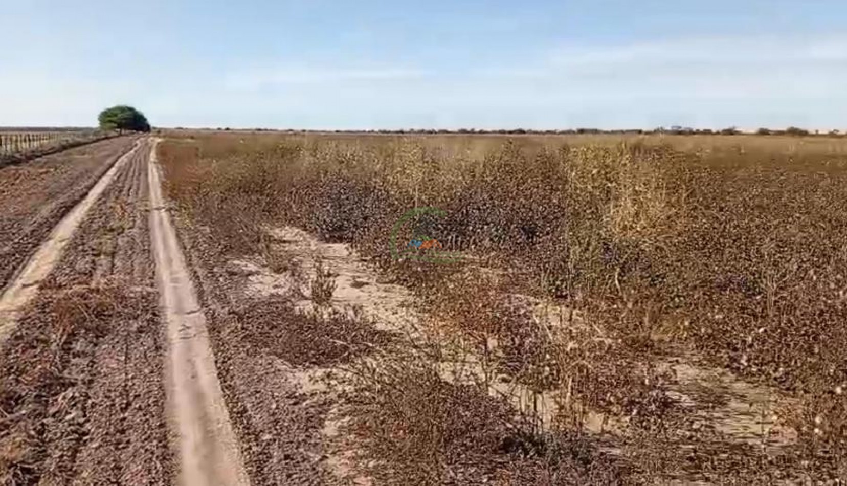 1300 Ha Agricolas - Fernandez - Santiago del Estero