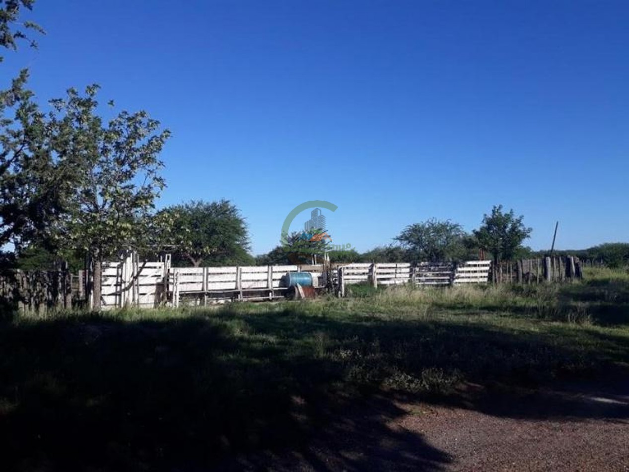 4954 Ha Ganadero - La Adela - La Pampa