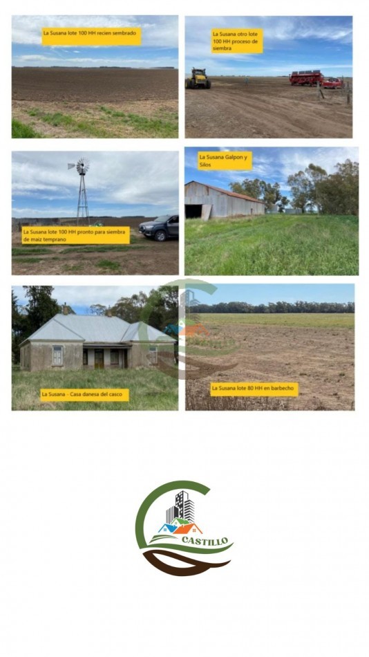 536 ha Agricolas - San Cayetano