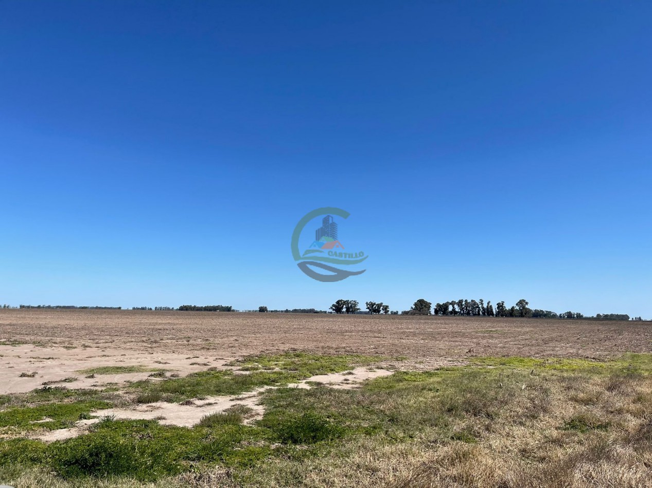 102 ha Agricolas - 25 de Mayo 