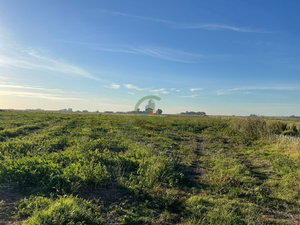 18 ha Mixtos - Pedernales
