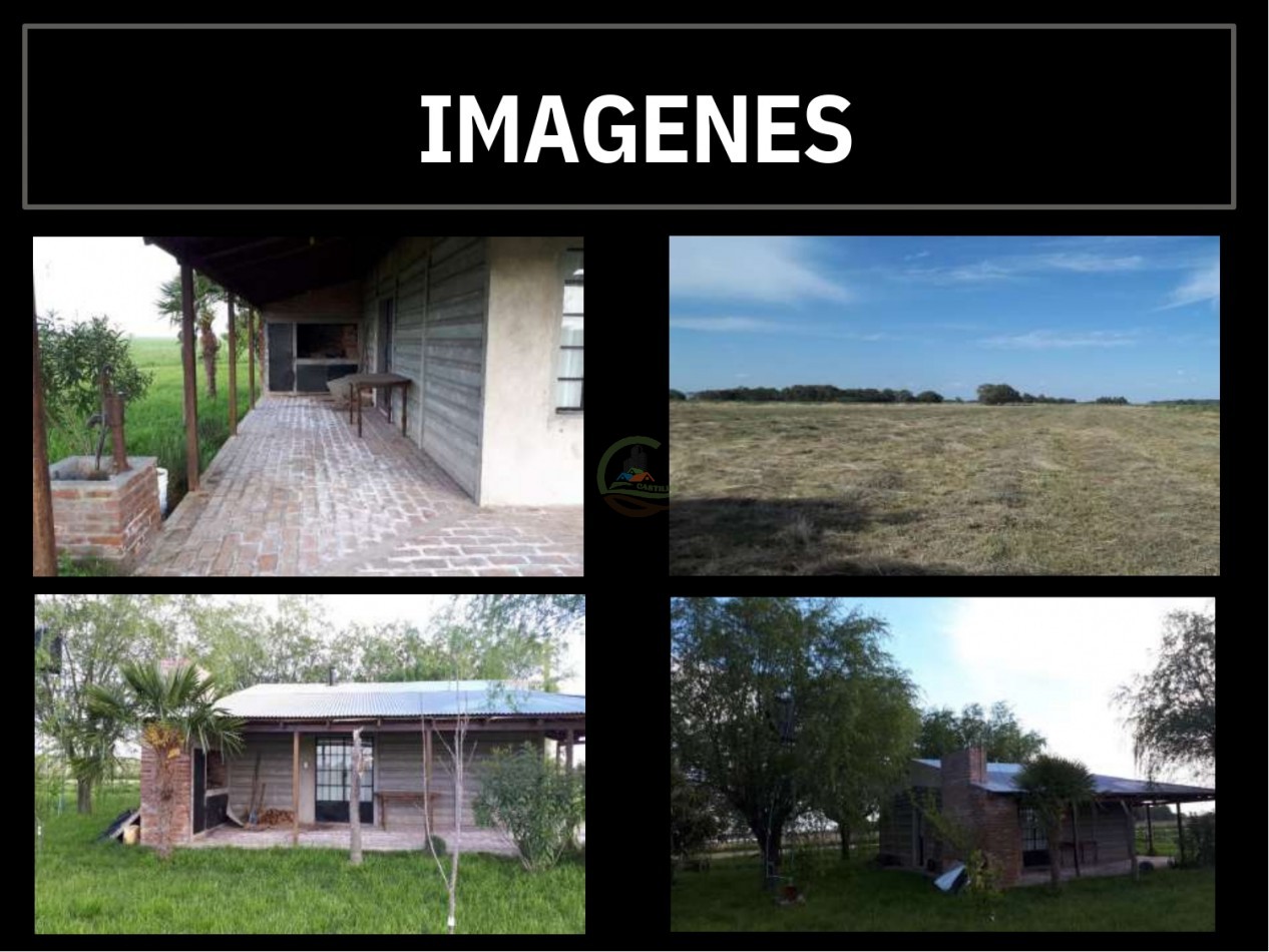 4,5 ha Mixta - Roque Perez